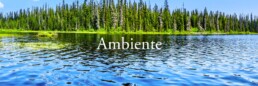 Ambiente