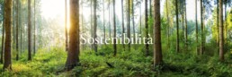 Sostenibilità